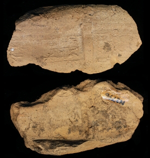 N2796