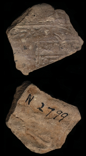N2799