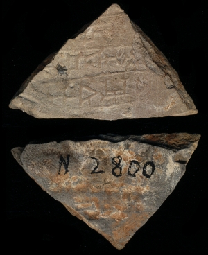 N2800