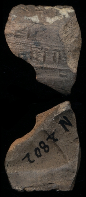 N2802