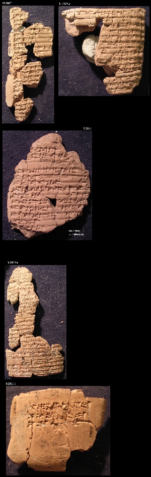 N2821A