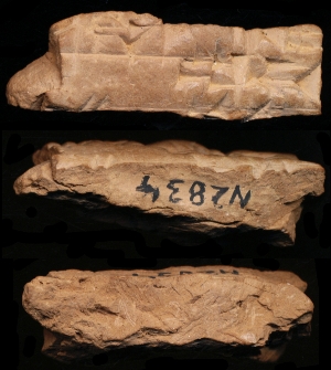 N2834