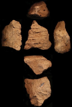 N2864