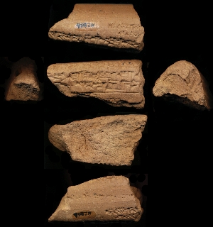 N2866