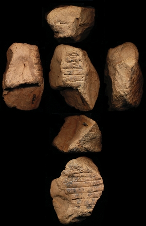 N2885
