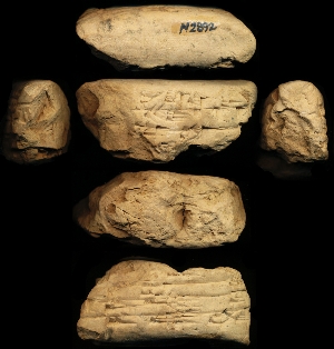 N2892
