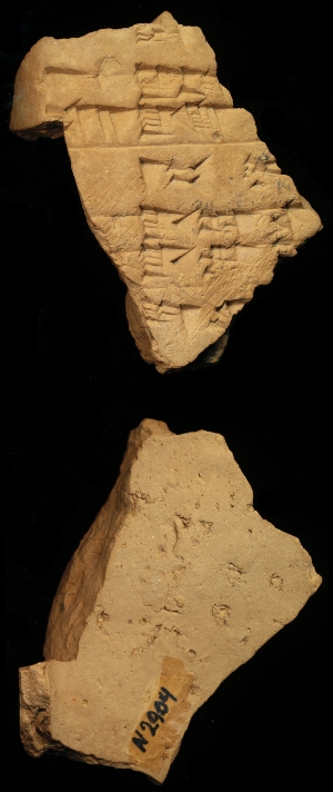 N2904