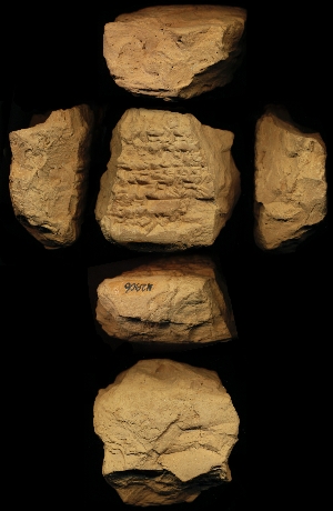 N2906