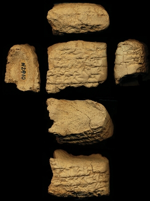 N2910