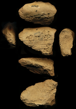 N2915