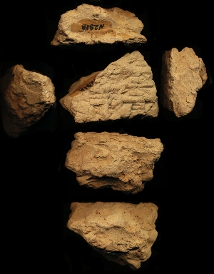 N2918