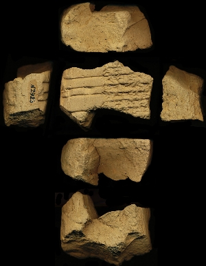 N2925
