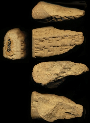 N2928