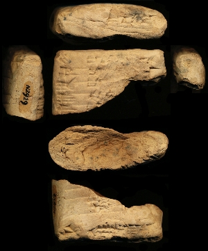N2929