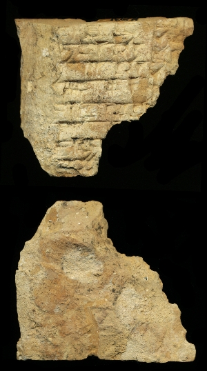 N2931