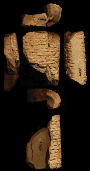 N2937