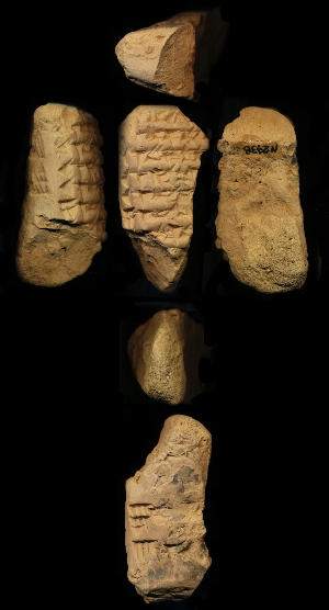 N2938