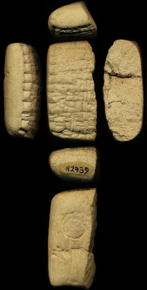 N2939