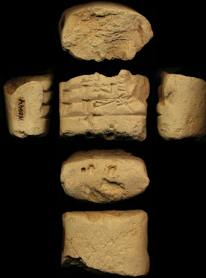N2944