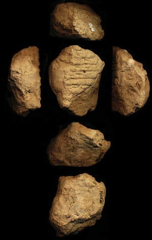 N2951