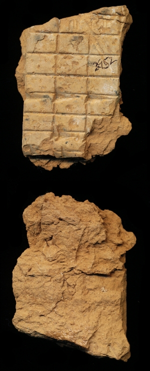 N2952