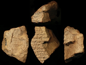 N2956