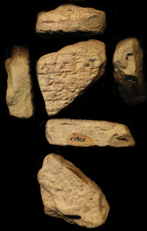 N2960