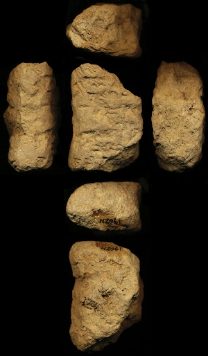 N2961