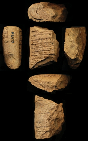 N2979