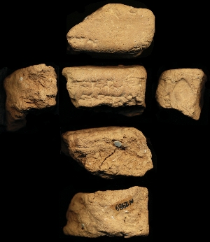 N2989