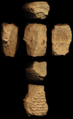 N2991