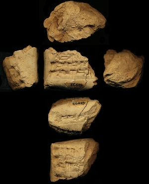 N2993