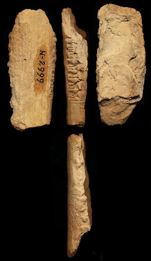 N2999