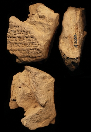 N3002