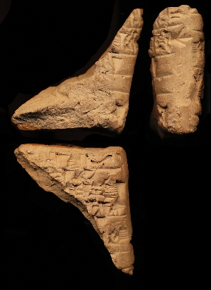 N3004