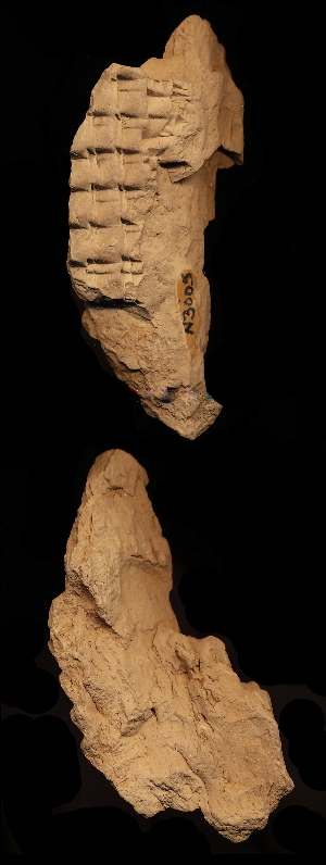 N3005