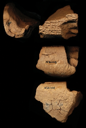 N3008
