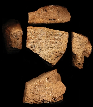 N3010