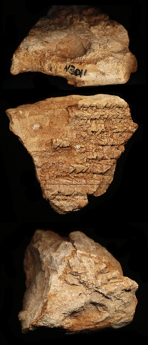 N3011