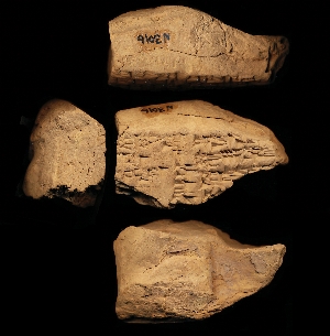 N3016