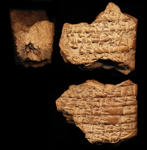 N3029