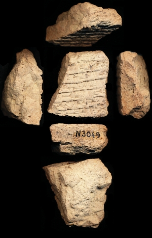 N3049