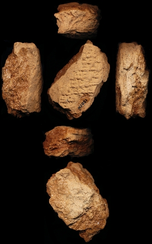 N3051