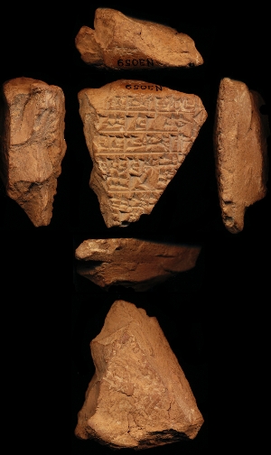 N3059