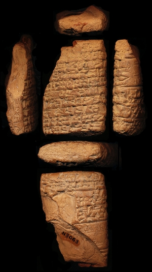 N3063
