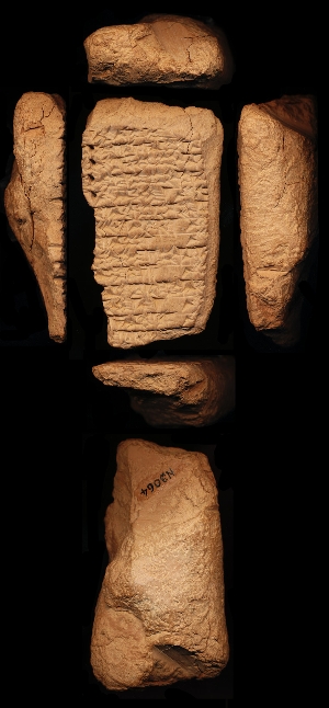 N3064