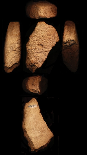 N3065