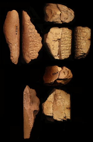 N3066
