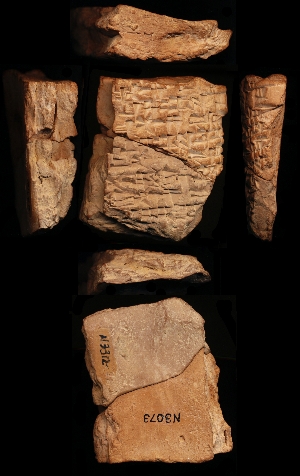 N3073
