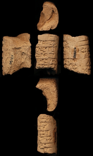 N3090